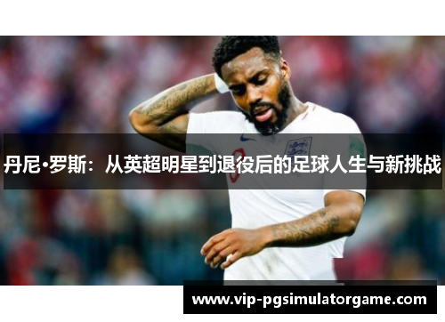 丹尼·罗斯：从英超明星到退役后的足球人生与新挑战
