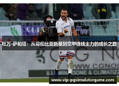 杜万·萨帕塔：从哥伦比亚新星到意甲锋线主力的成长之路