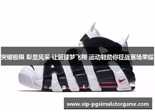 突破极限 彰显风采 让篮球梦飞翔 运动鞋助你征战赛场荣耀
