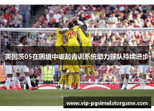 美因茨05在困境中崛起青训系统助力球队持续进步