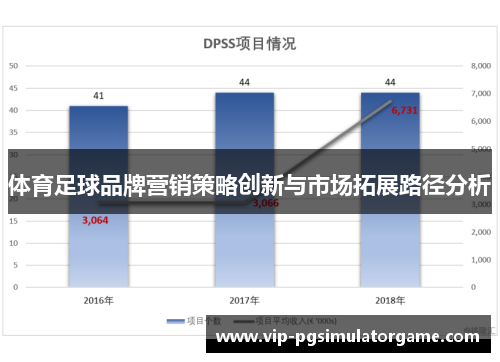 体育足球品牌营销策略创新与市场拓展路径分析