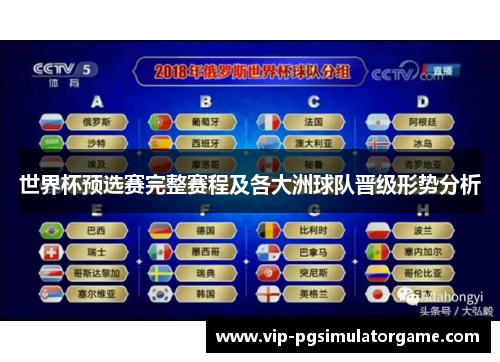 世界杯预选赛完整赛程及各大洲球队晋级形势分析