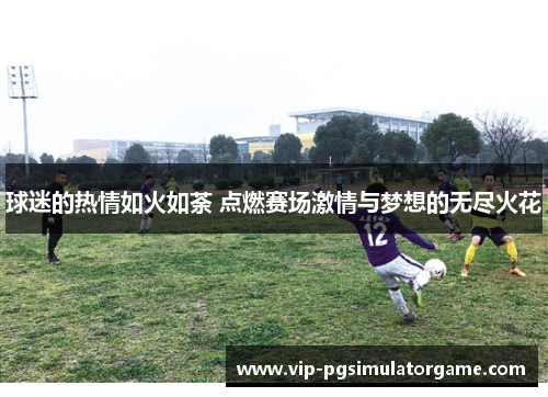 球迷的热情如火如荼 点燃赛场激情与梦想的无尽火花