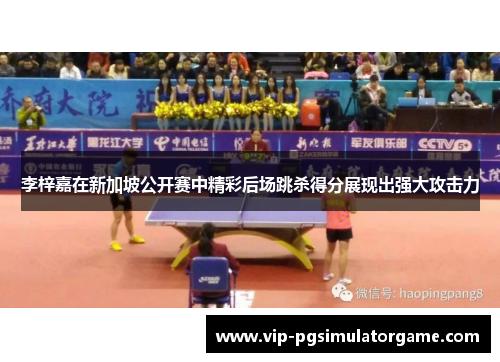 李梓嘉在新加坡公开赛中精彩后场跳杀得分展现出强大攻击力