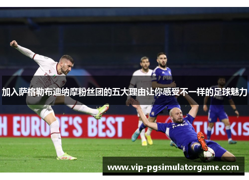 加入萨格勒布迪纳摩粉丝团的五大理由让你感受不一样的足球魅力
