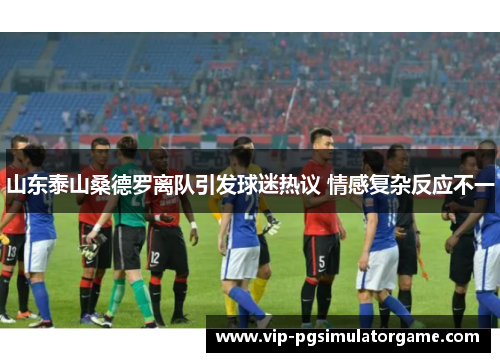 山东泰山桑德罗离队引发球迷热议 情感复杂反应不一