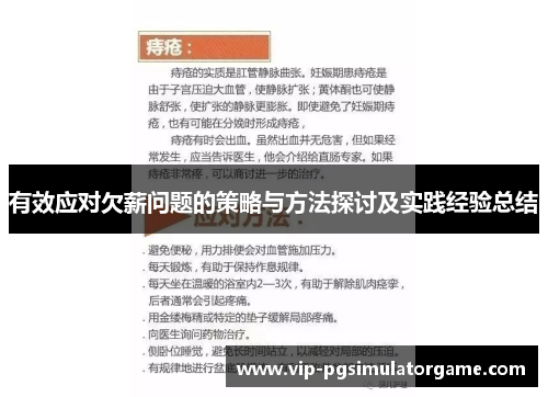 有效应对欠薪问题的策略与方法探讨及实践经验总结