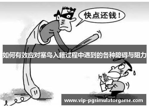 如何有效应对塞鸟入籍过程中遇到的各种障碍与阻力