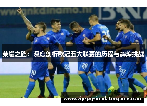 荣耀之路：深度剖析欧冠五大联赛的历程与辉煌挑战